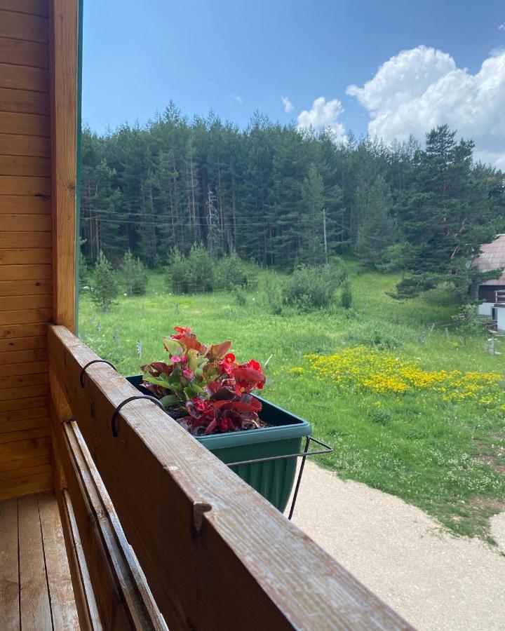 Paradise Zabljak Luaran gambar