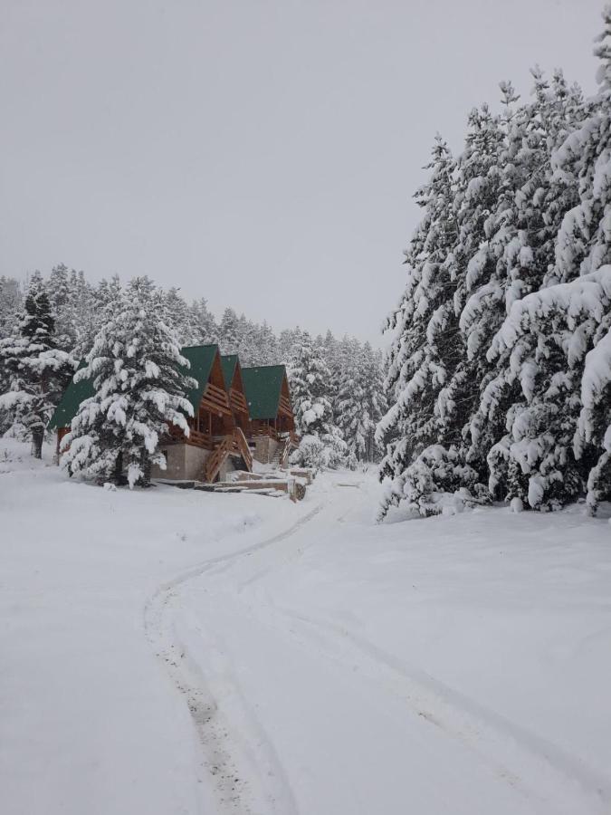 Paradise Zabljak Luaran gambar